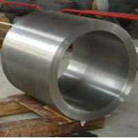 Stainless Steel Forging-Stainless Forging Parts 01