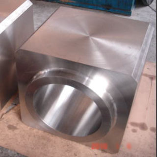 Stainless Steel Forging-Stainless Forging Parts 03